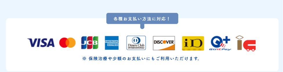 ビザ、マスターカード、JCB、アメックス、ダイナーズカード、ディスカバー、ID、クイックペイ、ICカードのロゴ
